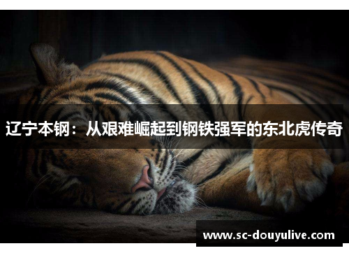 辽宁本钢：从艰难崛起到钢铁强军的东北虎传奇