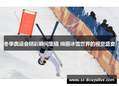 冬季奥运会精彩瞬间集锦 绚丽冰雪世界的视觉盛宴